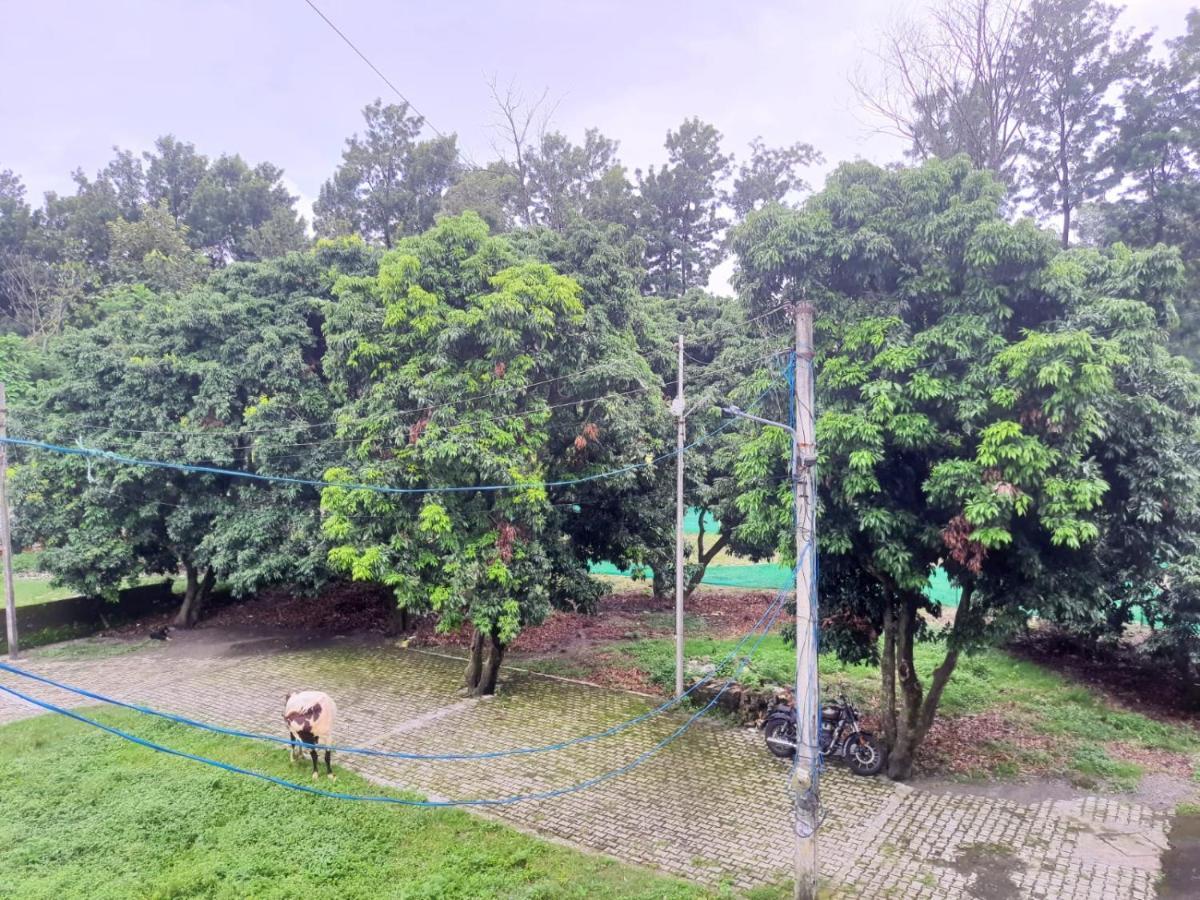 Nature View Homestay Dehradun Exterior foto